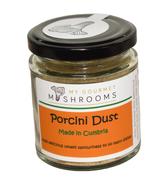 Porcini Dust  40g